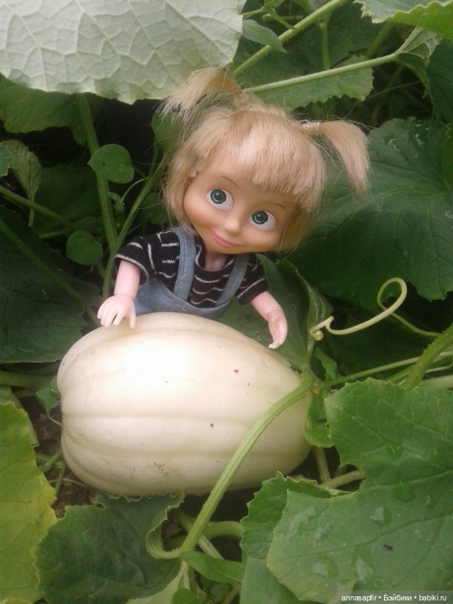 Машкины дачные приключения (фото 3)