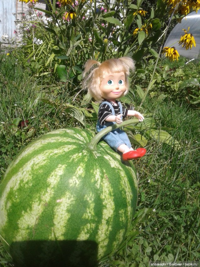 Машкины дачные приключения (фото 7)