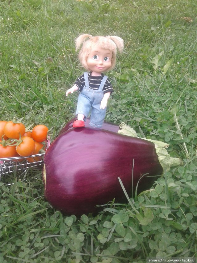 Машкины дачные приключения (фото 2)