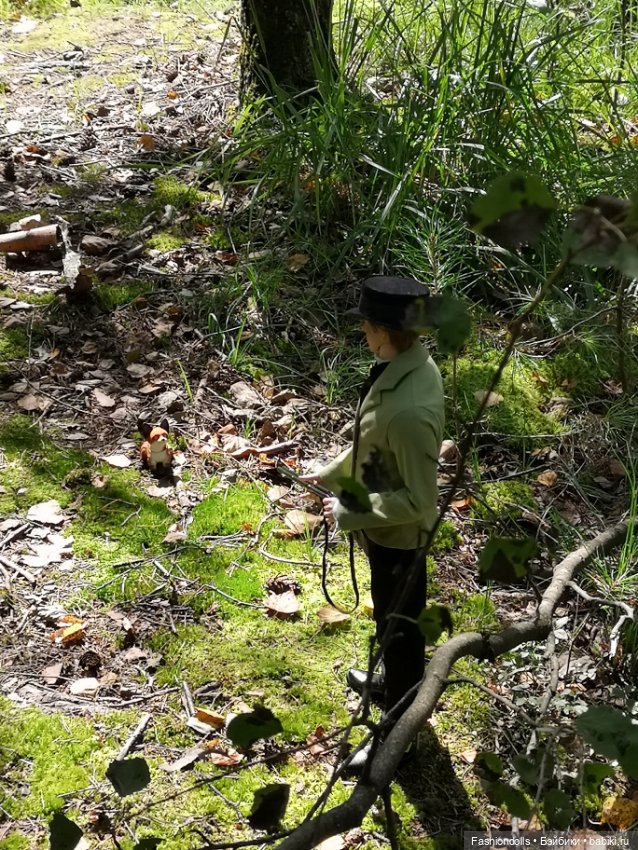 Охотник и лис — Куклы Iplehouse (Иплхаус): BJD (БЖД) (фото 8)