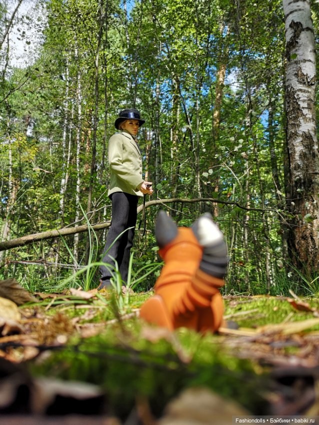 Охотник и лис — Куклы Iplehouse (Иплхаус): BJD (БЖД) (фото 2)