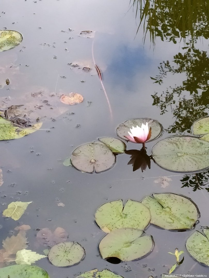 Интересные места. Рекомендовано к посещению (фото 5)