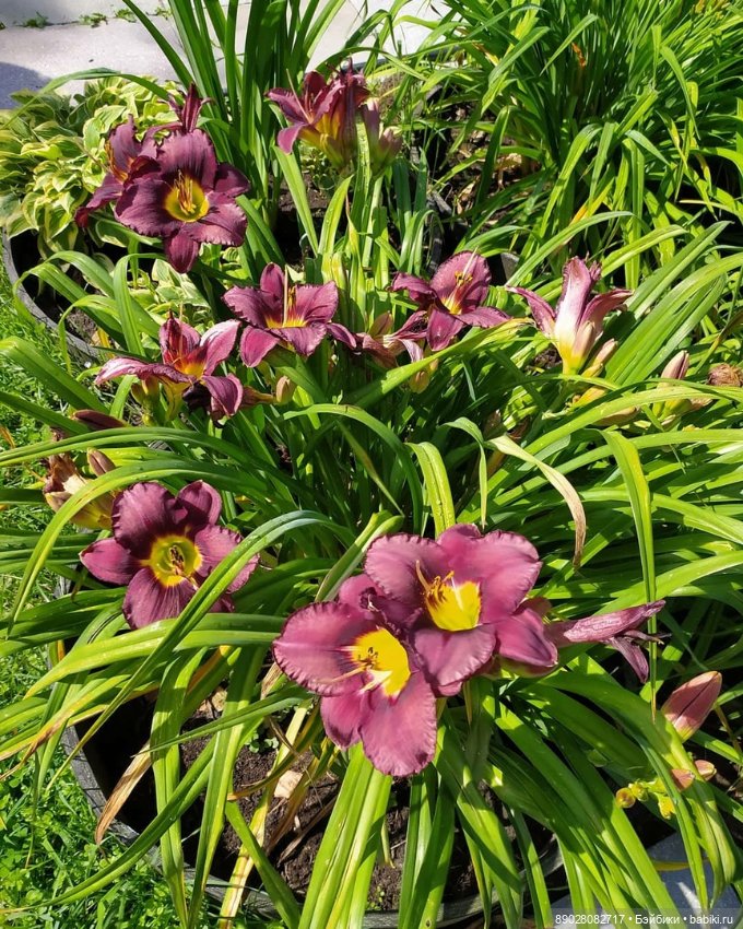 Интересные места. Рекомендовано к посещению