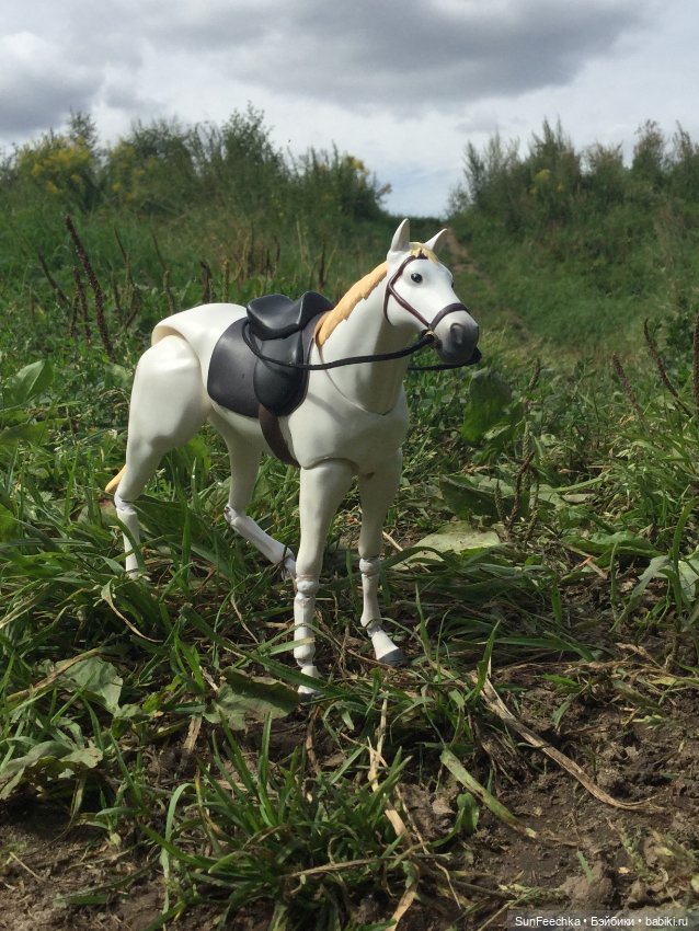 Кастро на прогулке — Разные шарнирные куклы (не БЖД): редкие (фото 6)