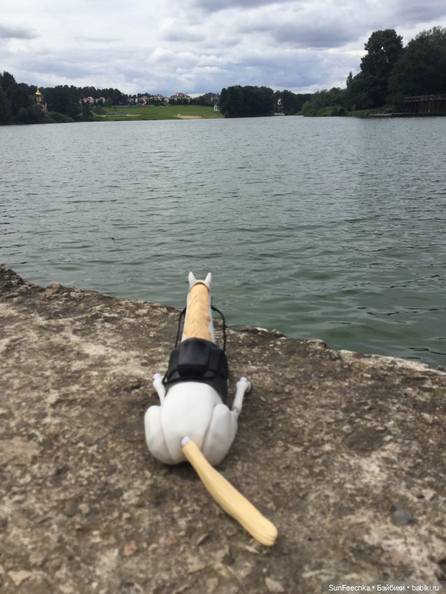 Кастро на прогулке — Разные шарнирные куклы (не БЖД): редкие