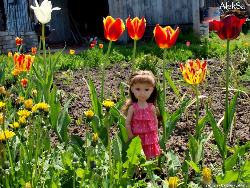 Лето в деревне - Часть 1. Эльза