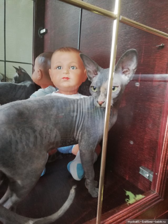 Мои куклодети. Ура!!! У кого-то места в новом-старом шкафу