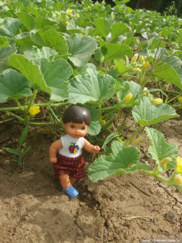 Поездка Розочки rosebud на дачу с друзьями (фото 6)