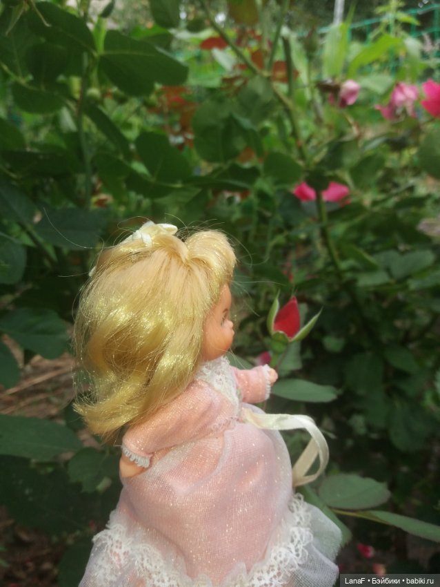 Поездка Розочки rosebud на дачу с друзьями