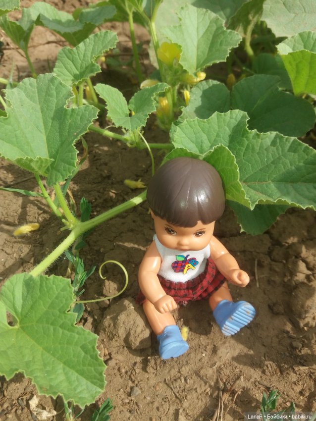 Поездка Розочки rosebud на дачу с друзьями (фото 5)