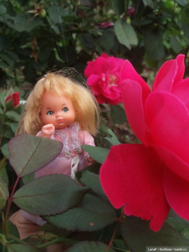 Поездка Розочки rosebud на дачу с друзьями