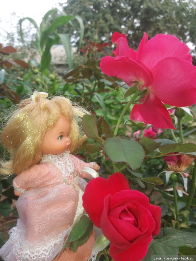 Поездка Розочки rosebud на дачу с друзьями