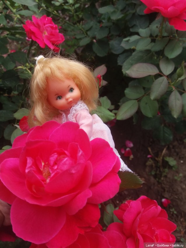 Поездка Розочки rosebud на дачу с друзьями