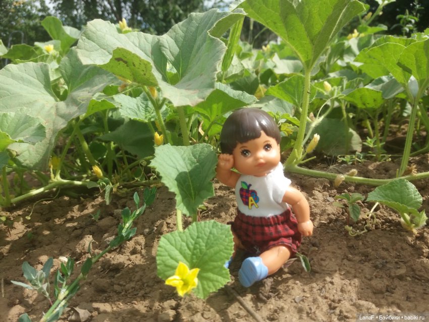 Поездка Розочки rosebud на дачу с друзьями (фото 4)