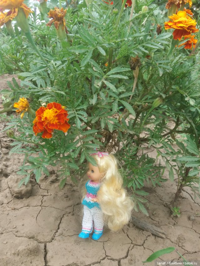 Поездка Розочки rosebud на дачу с друзьями (фото 8)