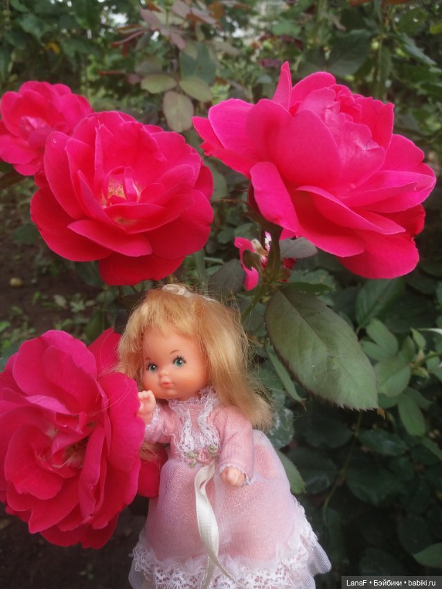 Поездка Розочки rosebud на дачу с друзьями