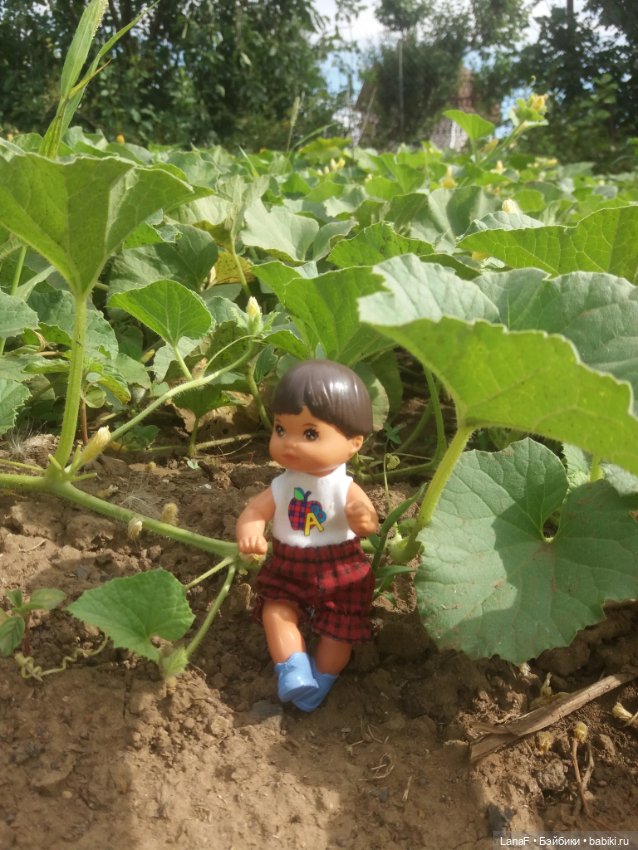 Поездка Розочки rosebud на дачу с друзьями (фото 3)