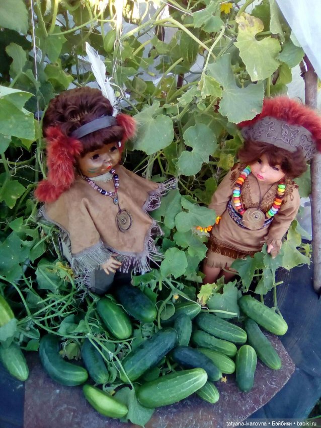 Вигвам для индейцев... нет - для огурцов