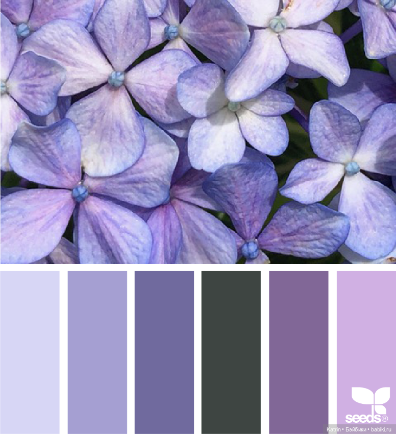 Сочетание цвета — Сочетание цветов: палитры для одежды и интерьера (фото 2)