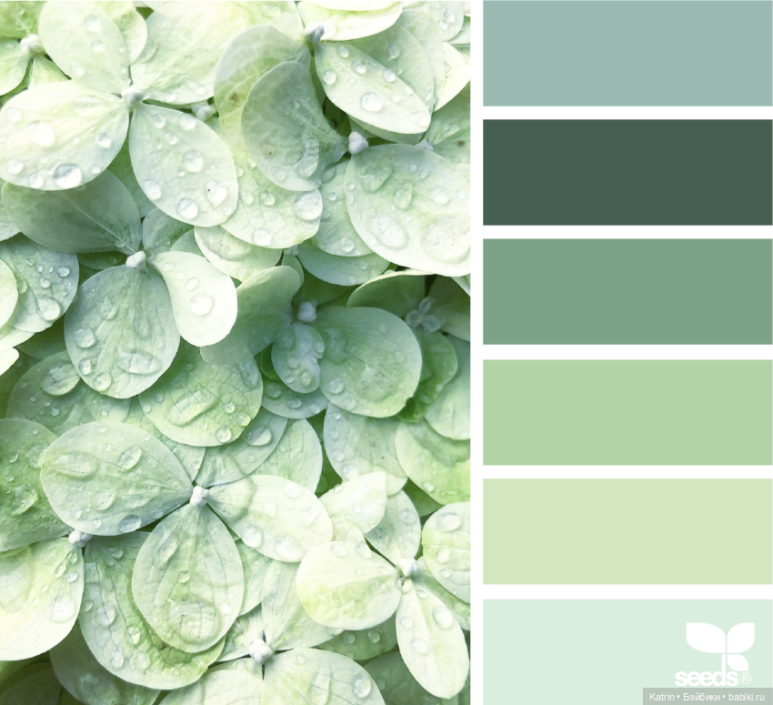 Сочетание цвета — Сочетание цветов: палитры для одежды и интерьера (фото 3)