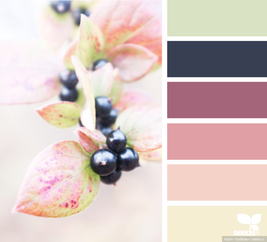 Сочетание цвета — Сочетание цветов: палитры для одежды и интерьера