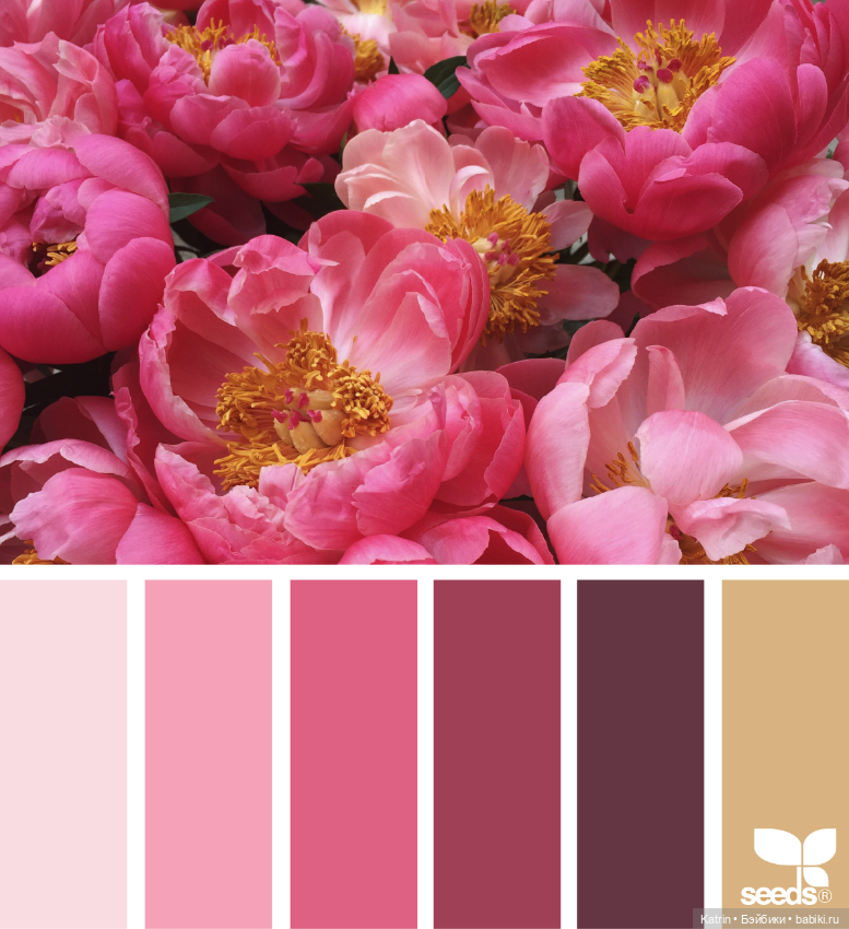 Сочетание цвета — Сочетание цветов: палитры для одежды и интерьера