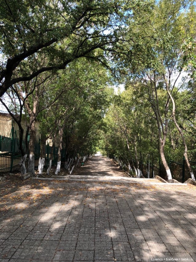 Отдых в Кабардинке — Туризм и путешествия: фотоотчеты из поездок