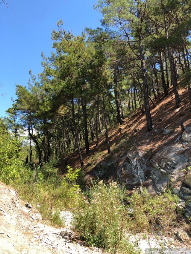 Отдых в Кабардинке — Туризм и путешествия: фотоотчеты из поездок (фото 4)