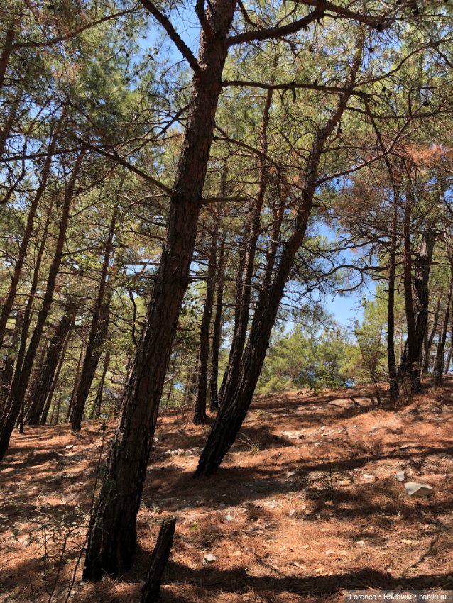 Отдых в Кабардинке — Туризм и путешествия: фотоотчеты из поездок (фото 2)