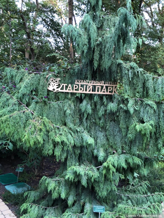 Отдых в Кабардинке — Туризм и путешествия: фотоотчеты из поездок