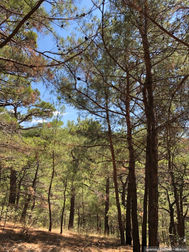 Отдых в Кабардинке — Туризм и путешествия: фотоотчеты из поездок (фото 3)