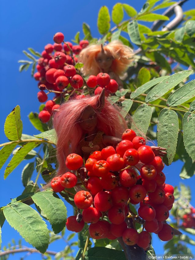 Удивительная встреча — Болталка и разговоры обо всем: жизнь