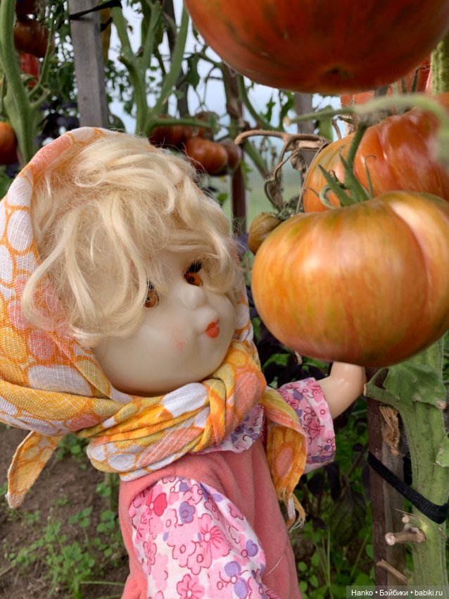 Советский винтаж. Деревня. Урожай (фото 6)