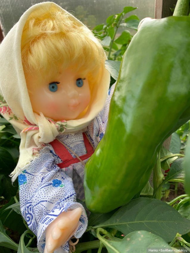 Советский винтаж. Деревня. Урожай (фото 5)