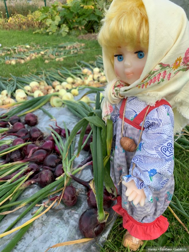 Советский винтаж. Деревня. Урожай (фото 4)