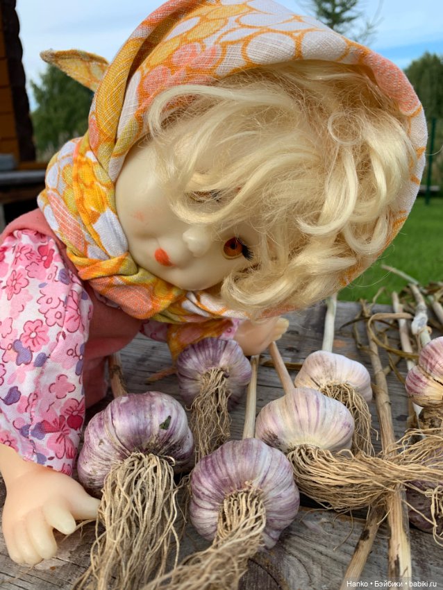 Советский винтаж. Деревня. Урожай (фото 3)