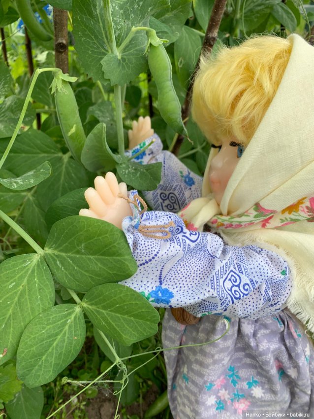 Советский винтаж. Деревня. Урожай (фото 10)