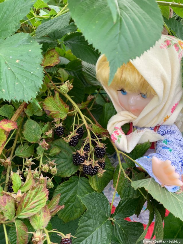 Советский винтаж. Деревня. Урожай