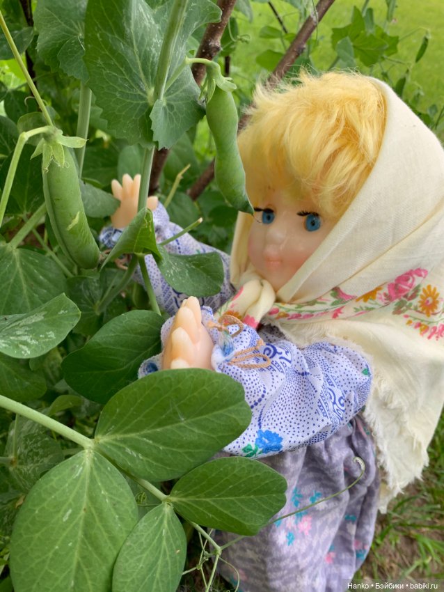 Советский винтаж. Деревня. Урожай