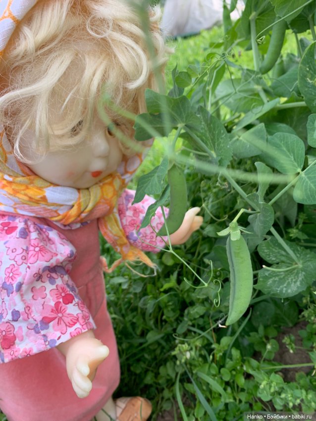 Советский винтаж. Деревня. Урожай (фото 8)