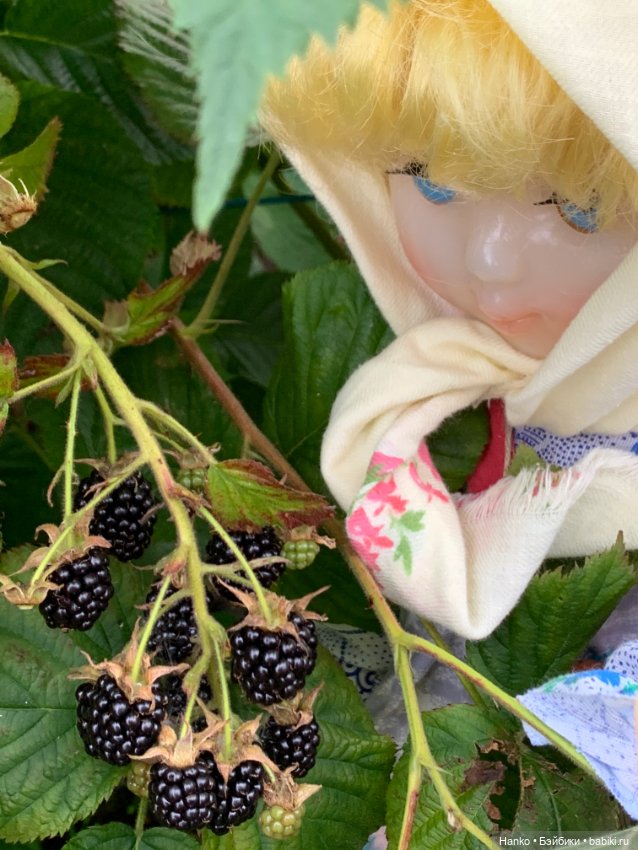 Советский винтаж. Деревня. Урожай