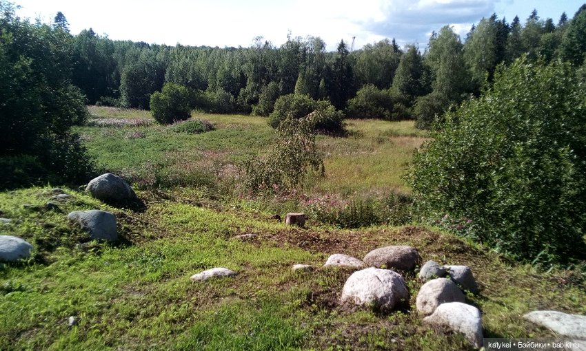 В Родной Стихии — Разные шарнирные куклы (не БЖД): редкие