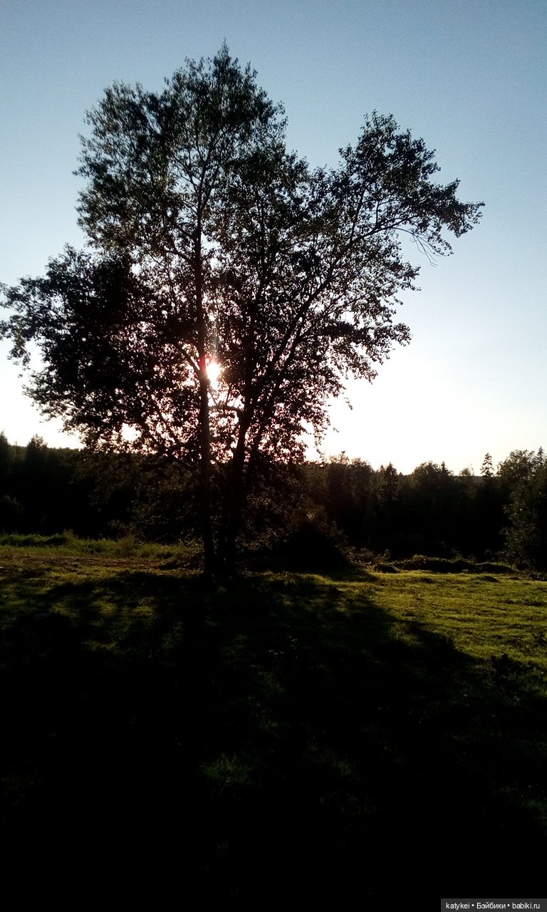 В Родной Стихии — Разные шарнирные куклы (не БЖД): редкие