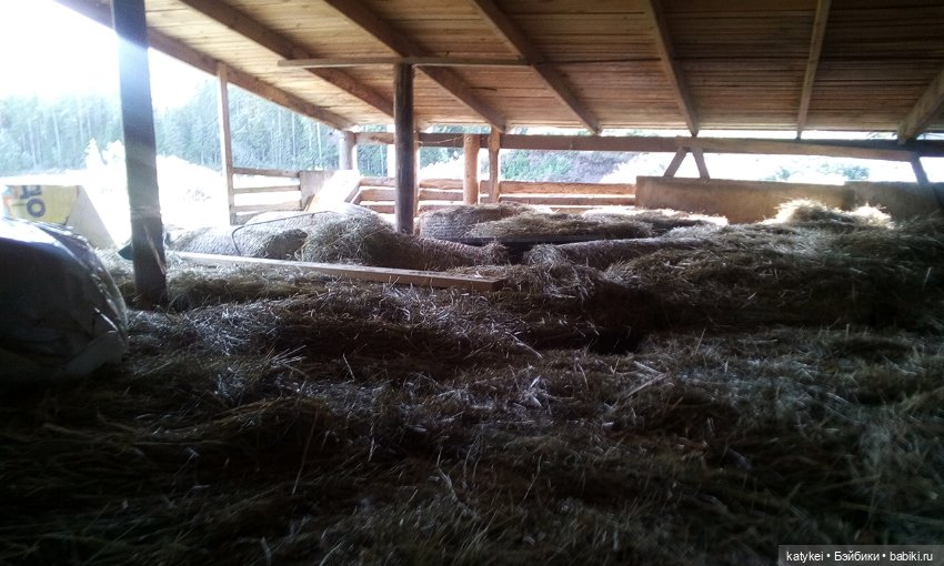 В Родной Стихии — Разные шарнирные куклы (не БЖД): редкие (фото 6)