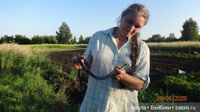 А если приползет согреться