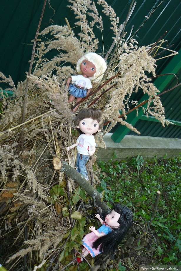 Летний звездопад: время исполнения желаний (фото 2)