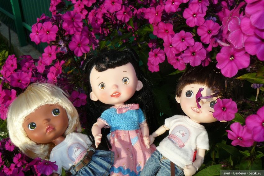 Летний звездопад: время исполнения желаний (фото 4)