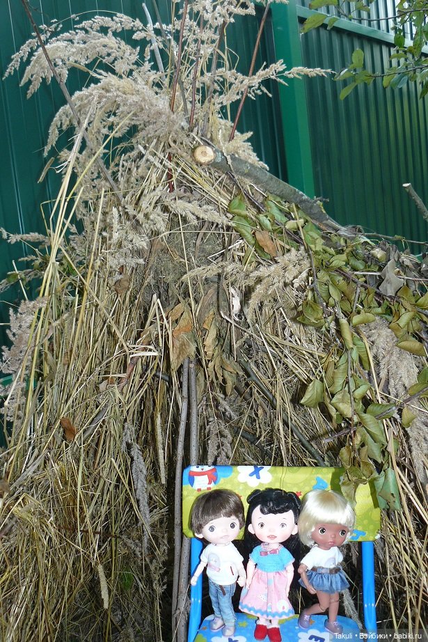 Летний звездопад: время исполнения желаний