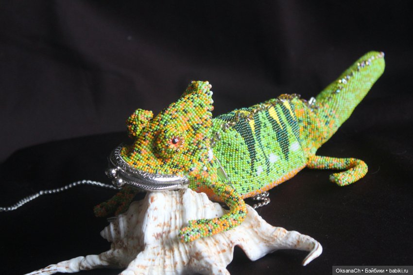 Хам Миллионыч (осенний) — Другие хобби и увлечения: сад (фото 2)