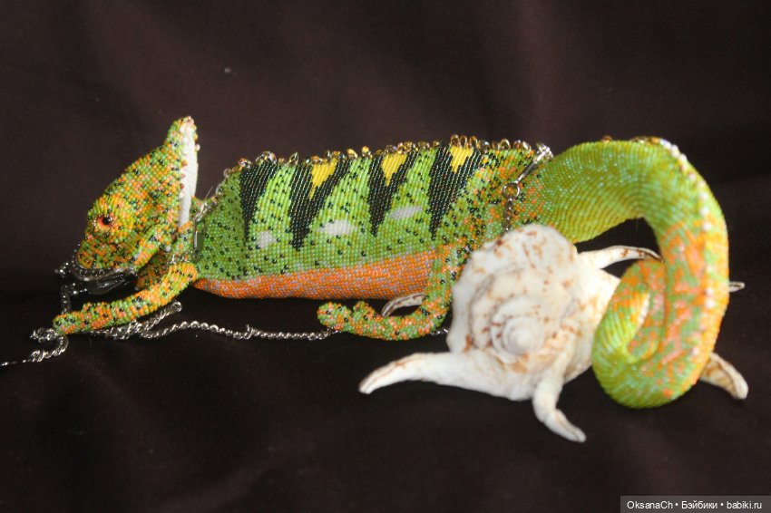 Хам Миллионыч (осенний) — Другие хобби и увлечения: сад (фото 3)